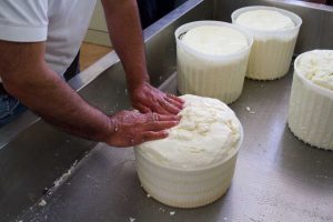 Cheese-production3578768