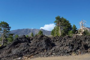 Etna-Private-Jeep-tour-5
