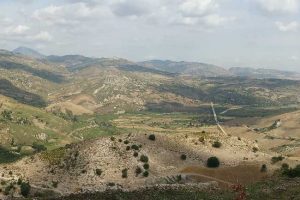 Landscape3961426
