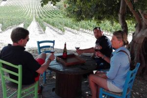 Relax-at-Winery