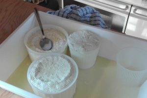 Ricotta-Cheese9719849