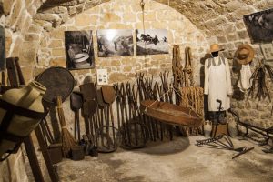 Wheat-harvest-tools5633556