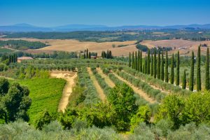 tuscany_italy_tour_multi_days_pixabay_1