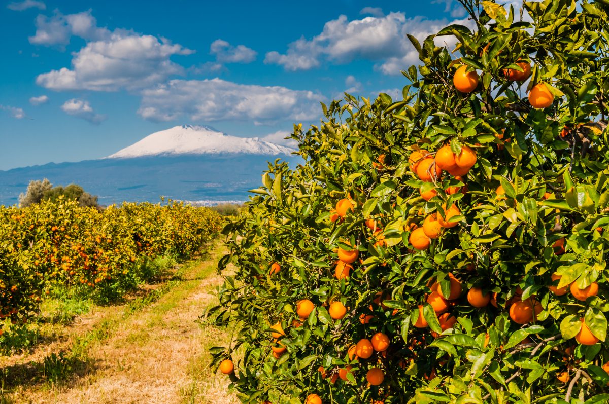 Places to visit in Sicily Tour of Sicily