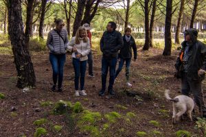 Truffle Hunting