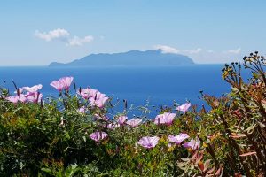 Favignana island