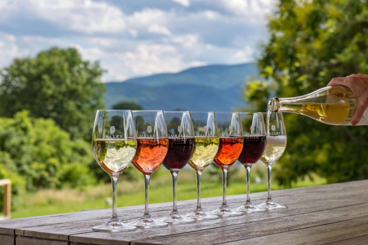 Sicily wine of a wine country! Tour of Sicily