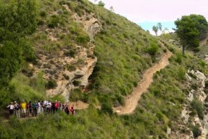 segesta14