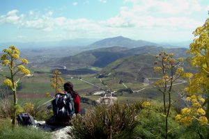 segesta2