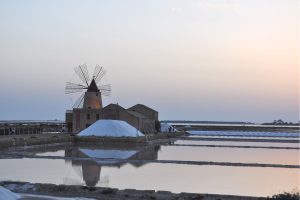 Marsala_canva (11)