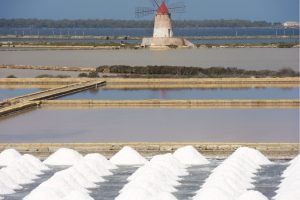 Marsala_canva (13)