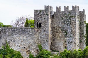 erice_canva