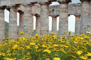 segesta_canva