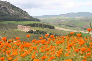 segesta_canva (9)