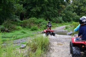 alcantara quad