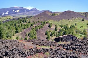 etna_volcano_catania_pixabay_13