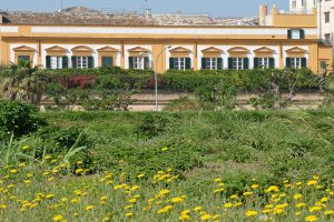 cooking-classes-palermo13